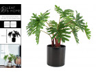 PHILODENDRON REAL TOUCH IN MELAMINE POT 40 CM